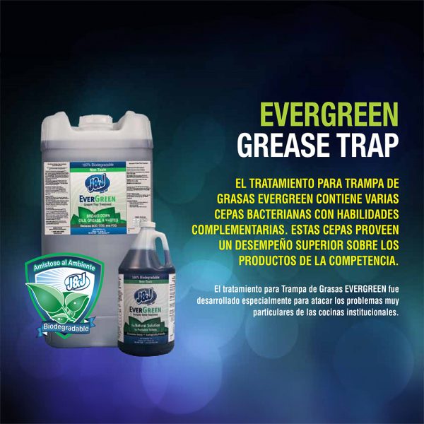 Evergreen Grease Trap